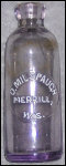 MerrillAntiqueWisconsinHutchBottles