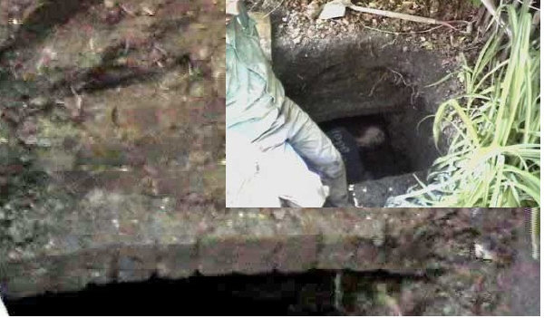 arch_privy_color.jpg arch_privy_color.jpg
